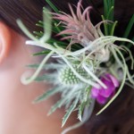 Weddingplanner Limburg