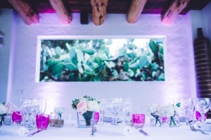 Weddingplanner Limburg