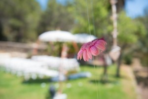 Weddingplanner Limburg