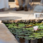 Weddingplanner Limburg