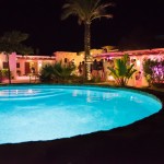 Weddingplanner Limburg