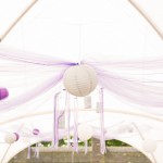 Weddingplanner Limburg