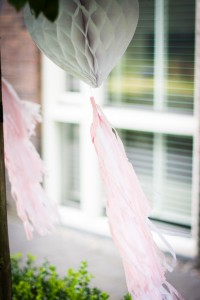 Weddingplanner Limburg