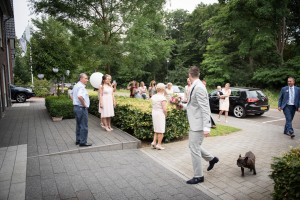 Weddingplanner Limburg