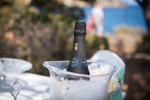 Linda Leclair - Weddingplanner Limburg