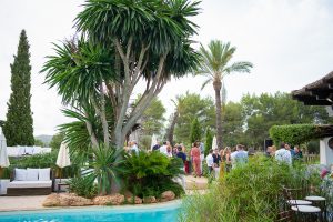 weddingplanner limburg - weddingplanner nederland