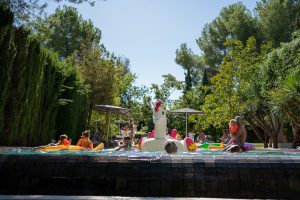 weddingplanner limburg - weddingplanner nederland