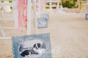 weddingplanner limburg - weddingplanner nederland